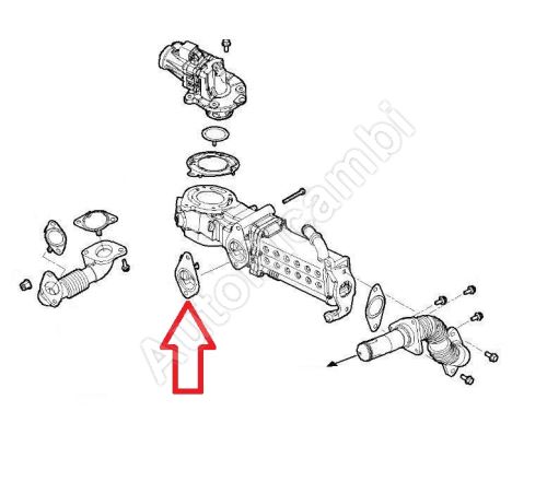 Tesnenie chladiča EGR ventilu Iveco Daily od 2022 2,3D