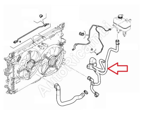 Hadica chladiča vody Fiat Ducato od 2021 2,2D spodná